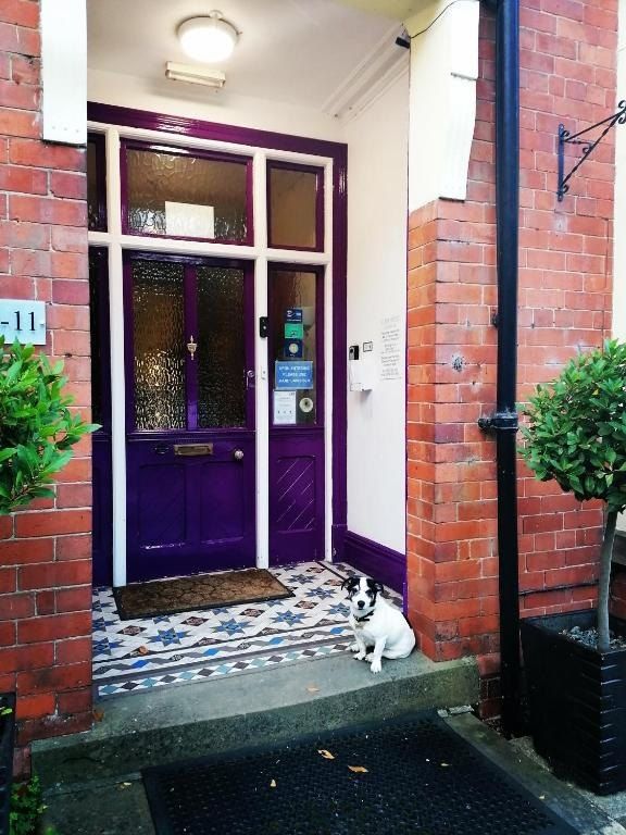 The aubergine front door